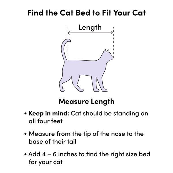 Tucker Murphy Pet™ Erie Elevated Cat Bed & Reviews Wayfair